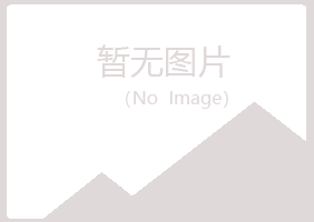 大新县浮夸采矿有限公司